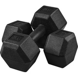 Yaheetech Hanteln Set 2er Kurzhanteln für Krafttraining oder zu Hause Hantelset 2 stück Hanteln Dumbbell Set Fitness 2er Set 2x4 kg