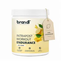 Brandl Ausdauer-Drink Elektrolyte Mineralien Isotonisches Getränk 600 g