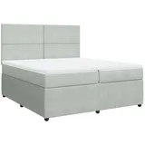 vidaXL Boxspringbett mit Matratze Hellgrau 200x200 cm Samt