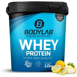 Bodylab24 Whey Protein Pulver, Lemon Cheesecake