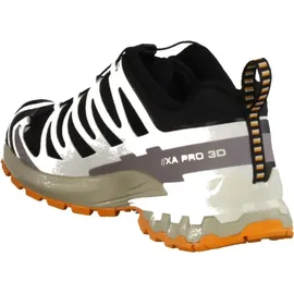 Salomon XA Pro 3D V9 GTX Herren Black/Vanilla Ice Turmeric 42