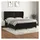 vidaXL Boxspringbett mit Matratze Schwarz 180x200 cm Samt