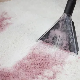 Albatros HYDRO 7500 inkl. 2 l Shampoo