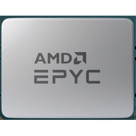AMD Epyc 9454P, 48C/96T, 2.75-3.80GHz, tray (100-000000873)