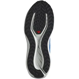 Salomon Drx Defy Grvl Herren French Blue/White/Cherry Tomato 44