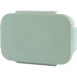 Bento Lunchbox grün recycelt