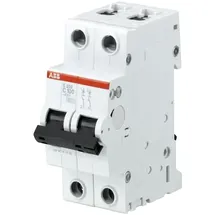 ABB 2CDS252001R0824 S202-C100