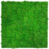 XXXLutz Wandpaneel Modular Wall 52 x 52 cm rich green