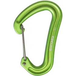 Karabiner Edelrid Nineteen G Oase GRÜN No Size