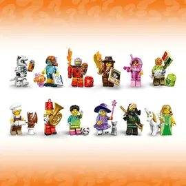 LEGO Minifiguren Serie 29 71052