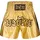 BENLEE Rocky Marciano Benlee Herren Thaibox-Hose Goldy