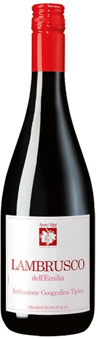 Lambrusco dell'Emilia Rotwein süß 0,75 l