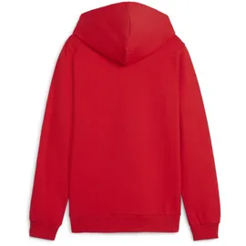 Puma teamGOAL Casuals Hoody Jr in rot 116