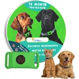 Evacare 12 Monate Floh- Und Zeckenfrei, Schützt vor Flöhen und Zecken, Repellent-Hänger (Grün*1pcs)