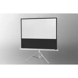 celexon Stativleinwand Economy 244 x 138 cm - White Edition