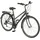 Prophete Entdecker 100 28 Zoll RH 48 cm Unisex grau