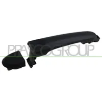 PRASCO DS0148113 Bedienelemente