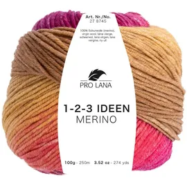 Pro Lana 1-2-3 Ideen Merino