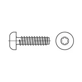 Industrial Quality Supplies Linsenblechschraube ISO 14585 Form FE 5,5 x 19 500 Stück