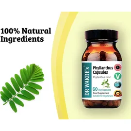 DR WAKDE'S® Natural Health Care, London Phyllanthus Kapseln 60 Vegi Caps