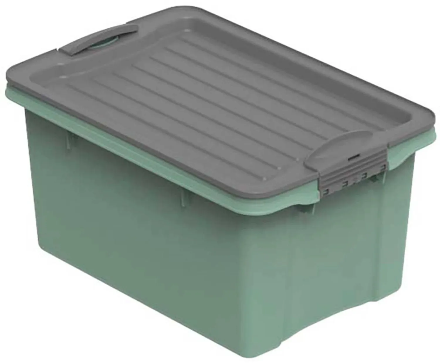 Preisvergleich Produktbild Rotho Stapelbox Compact A5 4,5 l Grün