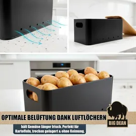 homhut Kartoffel Aufbewahrungsbox 3er Set
