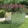 vidaXL Garten-Hochbeet 100 x 100 x 77 cm Silber