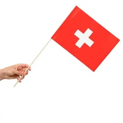 10 Papier Fahnen Schweiz 20 x 30 cm Handfahnen