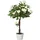 Outsunny künstliche Pflanzen Kunststoff Stoff weiß 18L x 18B x 90H cm