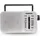 Daewoo DW1122 Silber