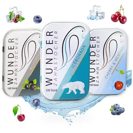 Wunder Zahnstocher Zahnstocher mit Geschmack Fresh 3er Pack