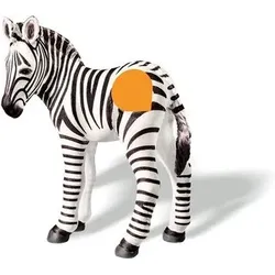 RAVENSBURGER 000361 tiptoi® Zebrafohlen