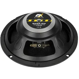 ESX QUANTUM QXE8.2W Tiefmitteltöner | 20cm Lautsprecher