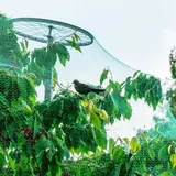 Leu Vogelschutznetz 4x10m Maschenweite Zum Schutz Von Pflanzen, Gemüse, Obst, Teichen Und Gärten