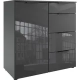 WIMEX Kombikommode 81 x 84 x 41 cm Grau / Glas Grau
