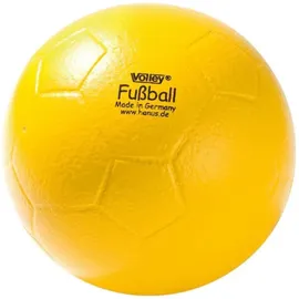 Volley Softball Weichschaumball Fußball
