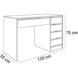 Lukmebel Schreibtisch MADA Gloss Kaschmir, Hochglanz mit Schubladen – Weiß