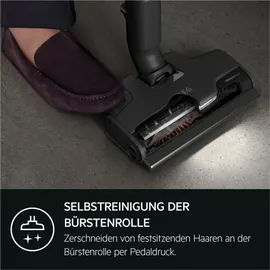 AEG Animal 8000 Akku-Staubsauger AP81AB25UG