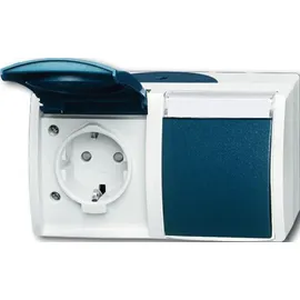 Busch-Jaeger Schuko-Steckdose 2-fach grau/blaugrün 2 St.