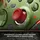 Microsoft Xbox Wireless Controller DOOM: The Dark Ages Limited Edition