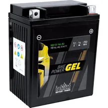 Intact Bike-Power GEL YB14L-A2