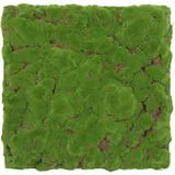 JANGAL Wandpaneel Jangal Modular Wall grün 2 St. 52 x 52 cm