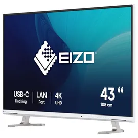 Eizo FlexScan EV4340X weiß, 42.5" EV4340X-WT