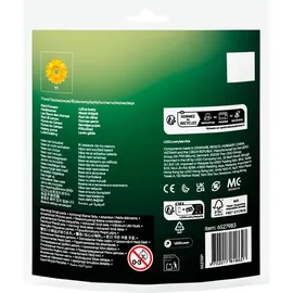 LEGO Botanicals Feldblumen 30701