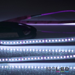 ISOLED LED CRI FOOD Flexband FISH, IP54 Nano beschichtet, 24V, 14.4W 11600K, CRi 75, dimmbar ISO-115067