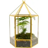 ElegantLife Geometrisches Glas-Terrarium, Pflanzgefäß für Sukkulenten zum Aufhängen, für Zuhause, Garten, Büro, Dekoration, Pflanzen Nicht im Lieferumfang enthalten (goldfarben, sechseckig)