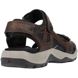 ECCO Offroad Herren espresso/cocoa 43