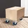 ECD Germany Transportroller 800 kg