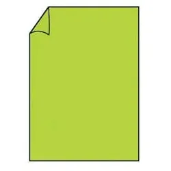 Briefbogen Paperado A4 100g maigrün RÖSSLER 16400122   210x297mm gerippt
