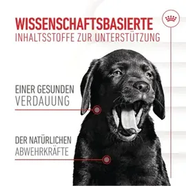 Royal Canin Immunity & Digestion Chews Puppy Supplements 100g